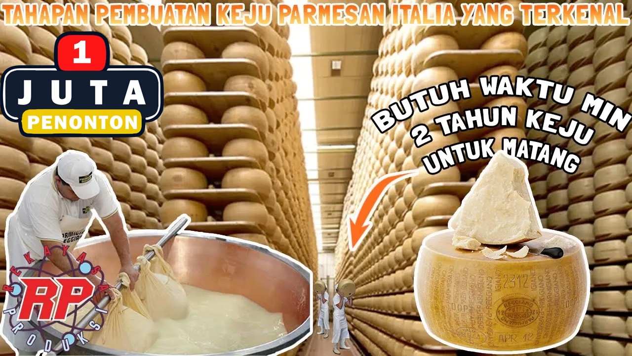 BEGINI PROSES PEMBUATAN KEJU PARMESAN ITALIA YANG TERKENAL DAN JUGA KEJU TERMAHAL DI DUNIA