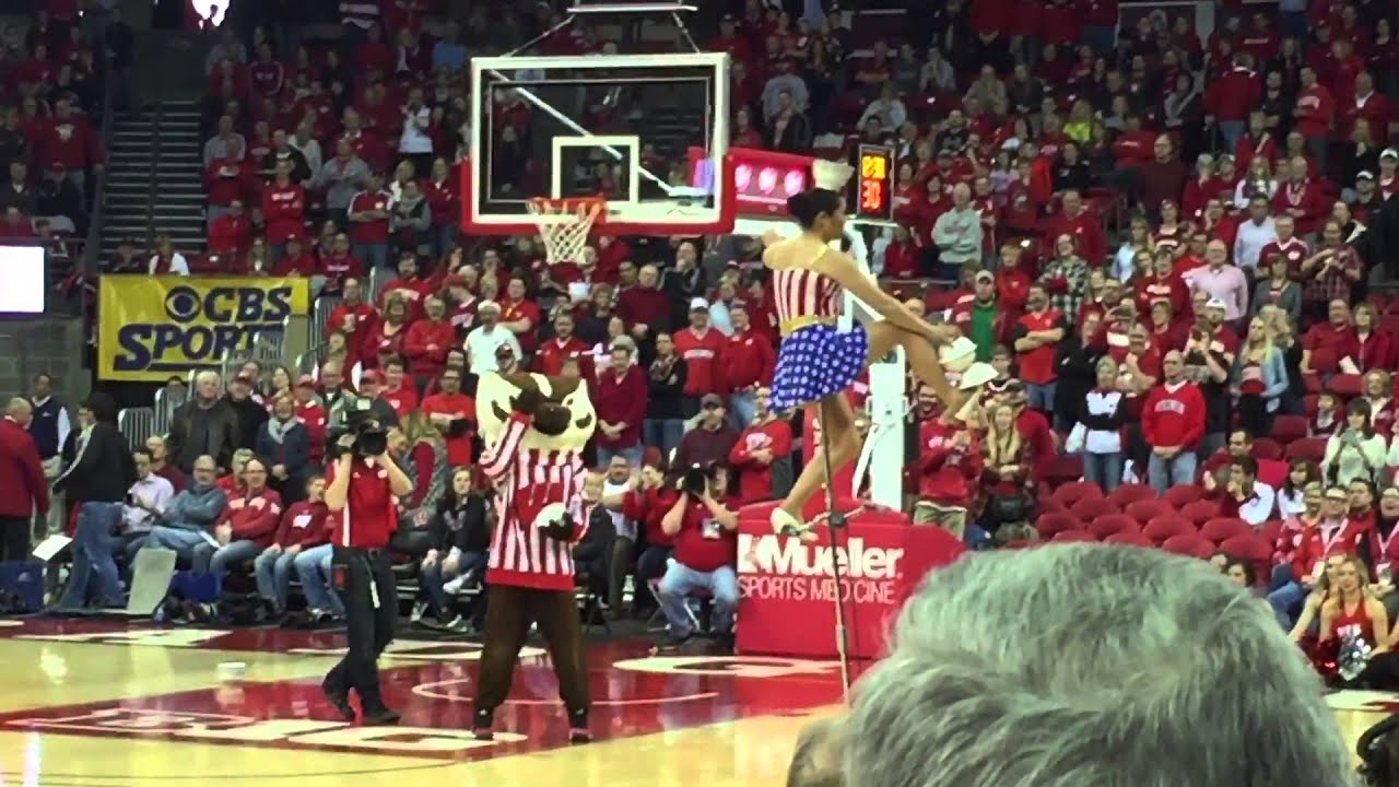 Red Panda Acrobat