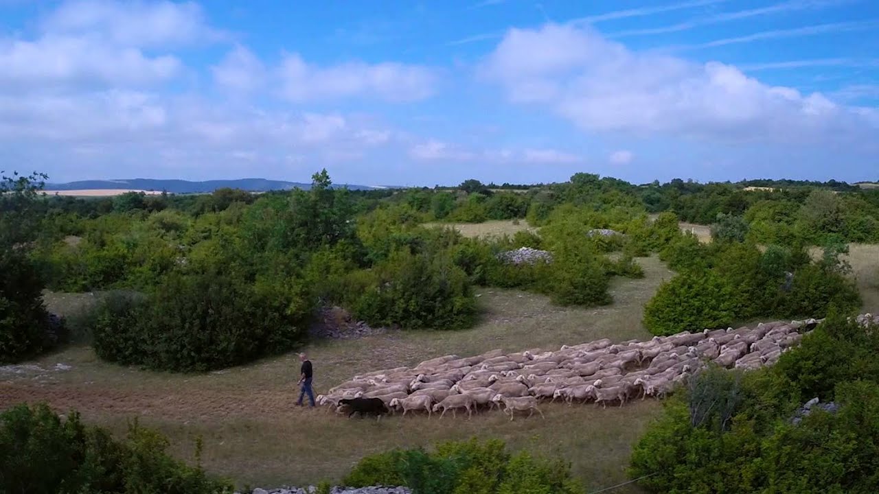 Le film du Parc naturel régional des Grands Causses