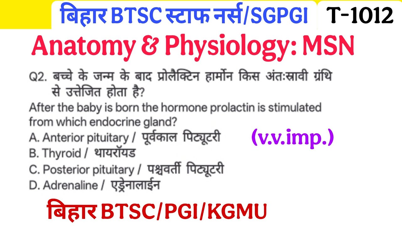 Bihar BTSC Staff Nurse Exams most repeated Questions, BTSC Staff Nurse Exams Best Online classes
