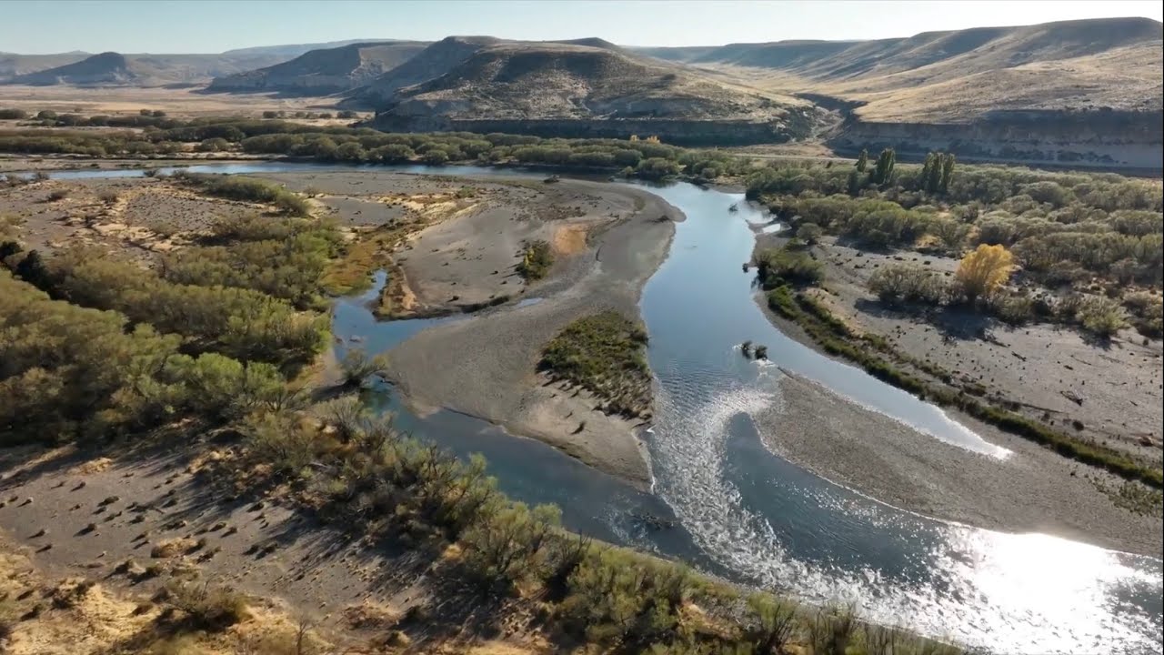 Pesca con Mosca Río Collon Cura Junin de Los Andes Patagonia Argentina Campamento POL Aguas Arriba