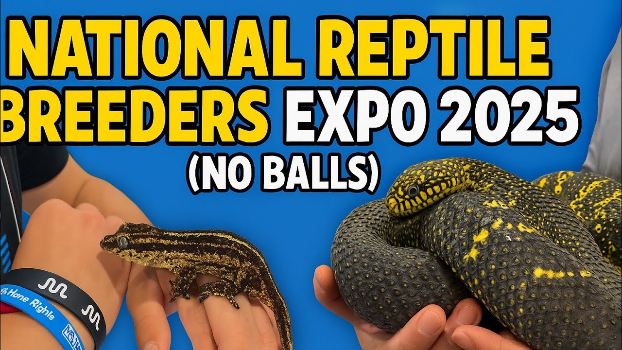 National Reptile Breeders Expo Pt1(No Balls)