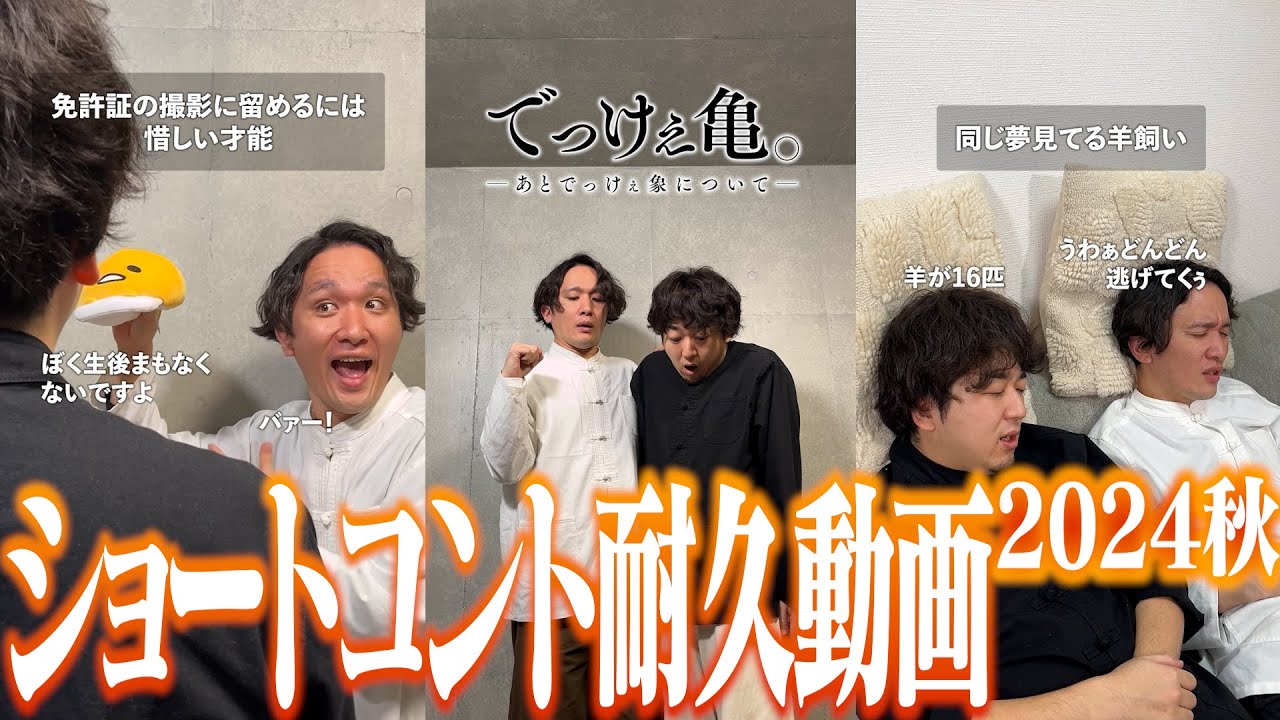 連休はShortsで暇を潰そう!!!!【10秒に1本】