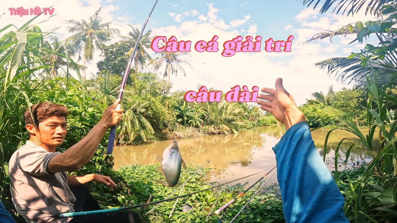 C&acirc;u C&aacute; Giải Tr&iacute; C&acirc;u Đ&agrave;i | Triệu Hồ TV