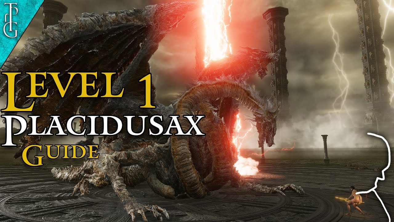 Defeating Dragonlord Placidusax Level 1 (Melee; No Hit) - Small Placidusax Guide