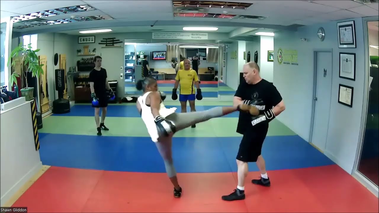 Savate - Basic Kick Review - Chasse & Fouette