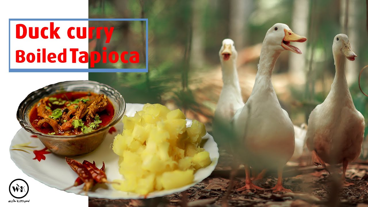DUCK CURRY + BOILED TAPIOCA | THARAVU CURRY + KAPPA PUZHUGGIYADHU | WILD COOKING | WILD KITCHEN
