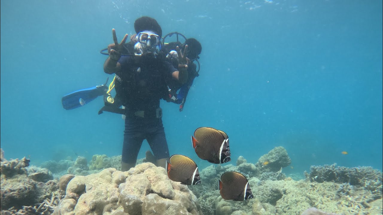 Andaman Scuba Diving 🤿 superb experience 