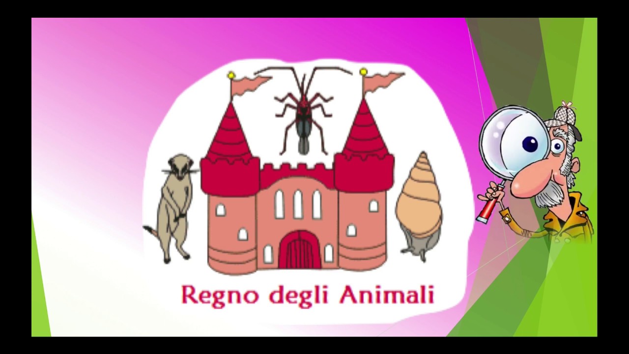 Il regno animale