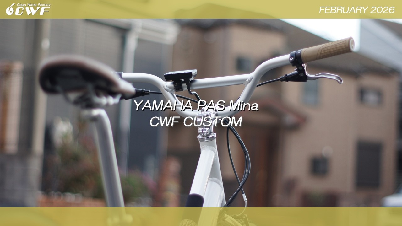 2017 E-BIKE YAMAHA PAS Mina CWF CUSTOM