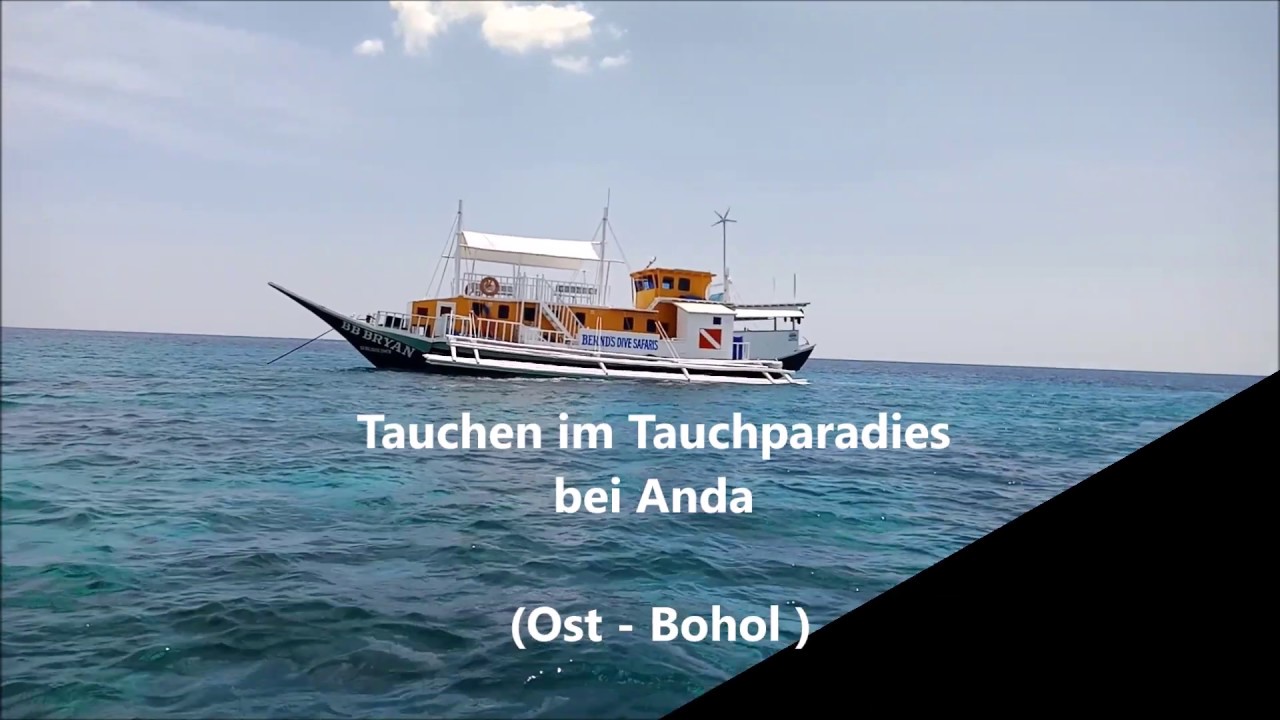 Tauchen Anda Bohol Philippinen