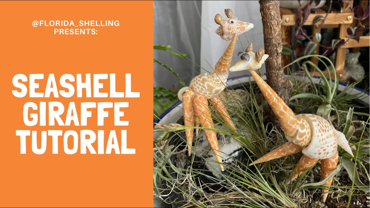 How to make a GIRAFFE out of SEASHELLS! 🦒