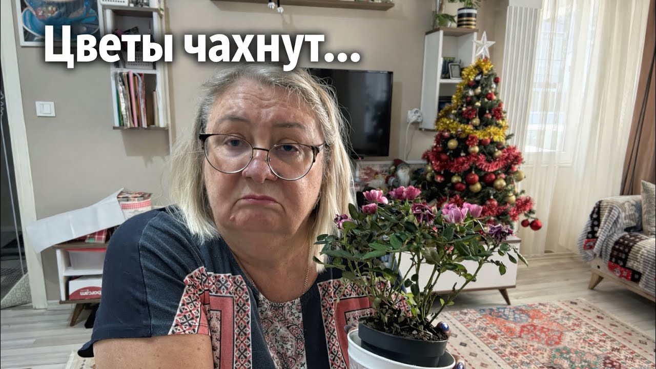 Почему у меня чахнут цветы