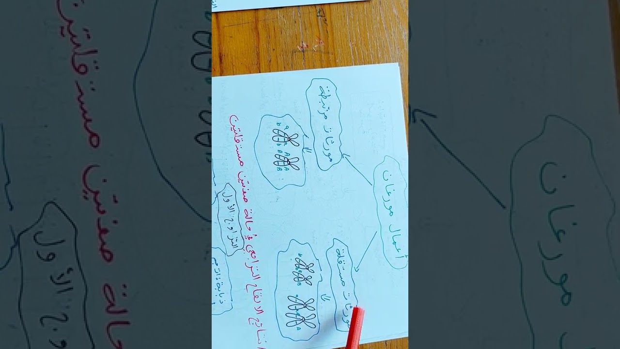 مراجعة خطيرة الانقسام المنصف و اعمال مورغان الجزء ١🤔🤔🤔