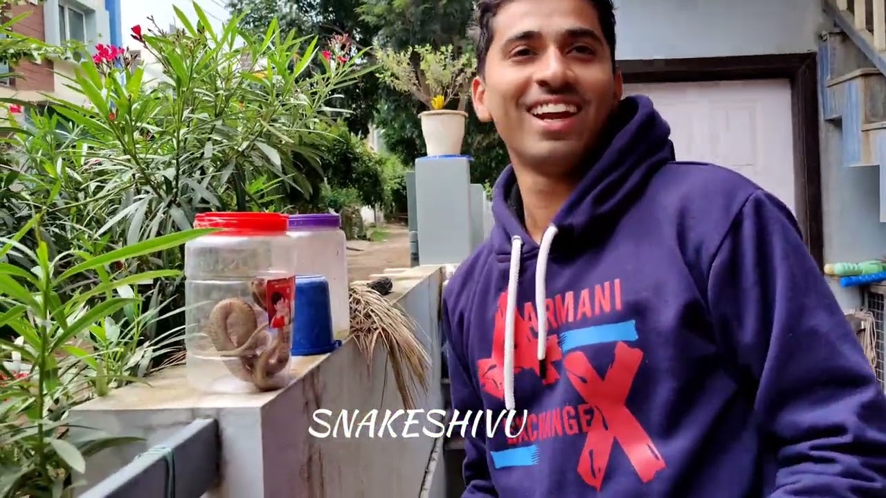 #snakeshivu