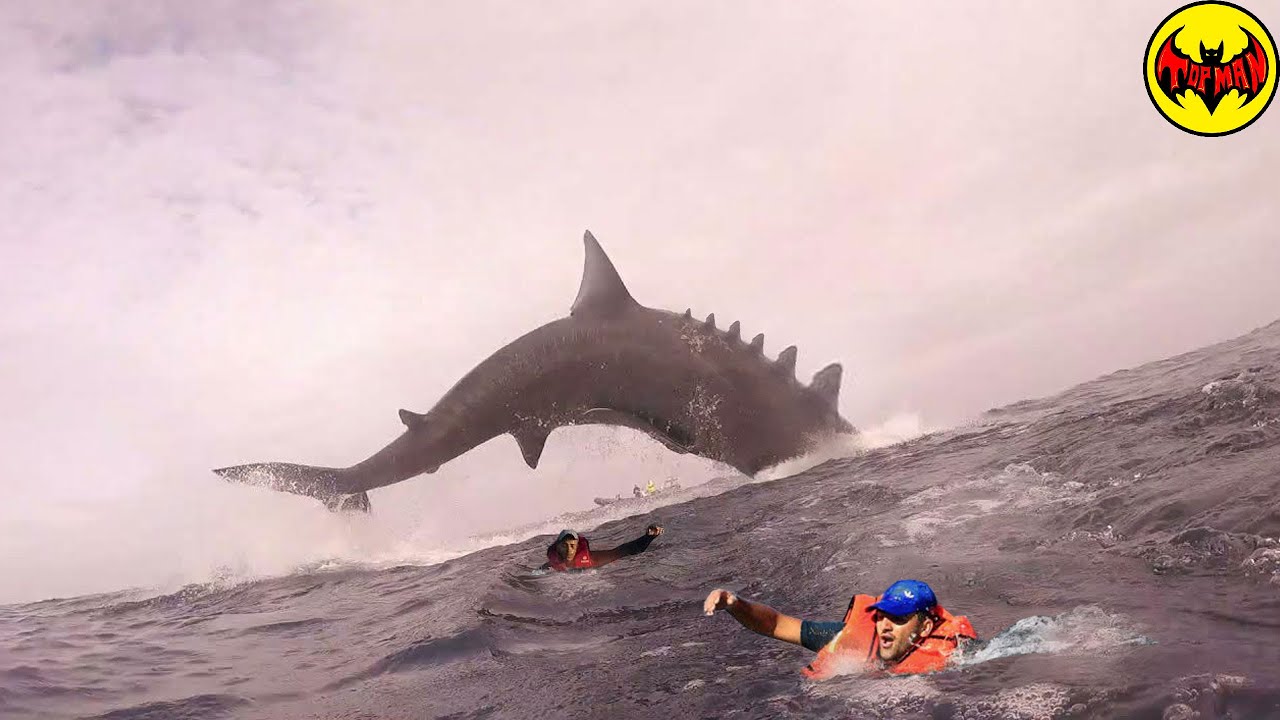Terrifying Ocean Videos That Will Make You Fear the Sea