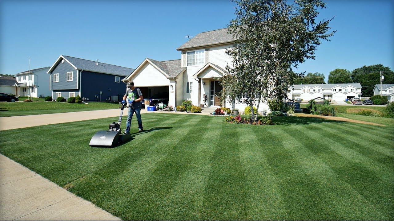 Lawn Care LEGEND Visited My Yard