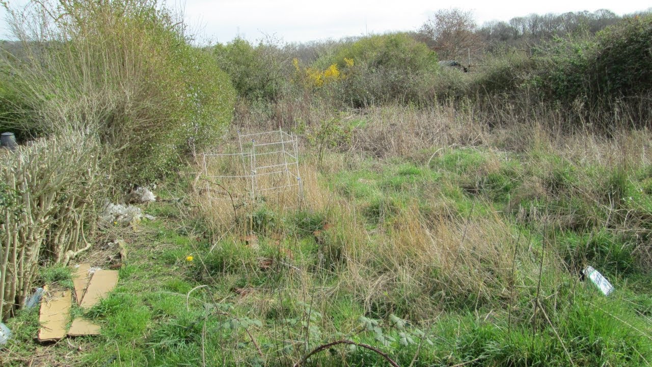 A first look at the allotment