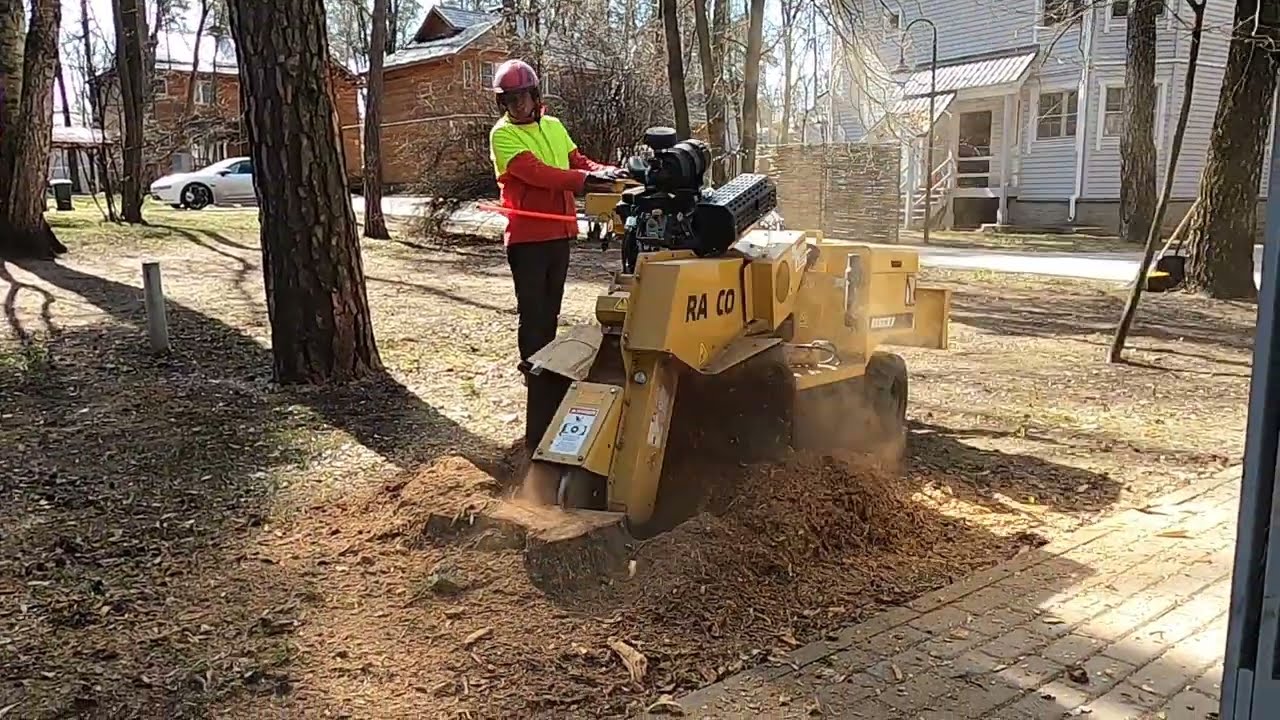 Удаление пней в Серебряном бору Rayco RG37