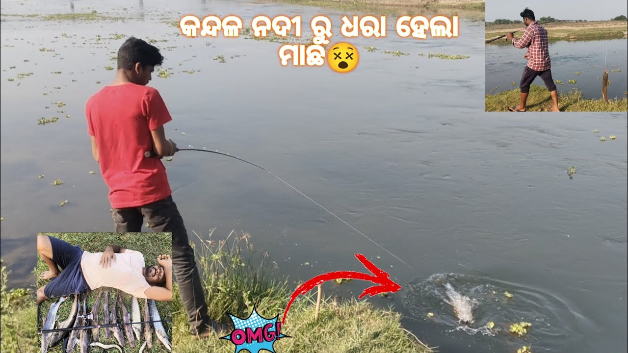 କନ୍ଦଳ ନଦୀ👑 ରେ ବହୁତ୍ ବଡ଼ ବଡ଼ ମାଛ ଅଛନ୍ତୀ 😰😱#fishingvideo#odishafishing