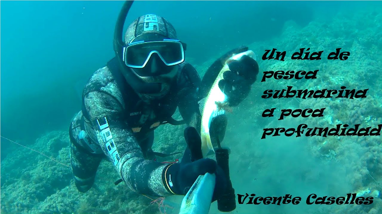 Pesca submarina algunas capturas, salmonetes, lisa, fallo a dentón y una pastinaca
