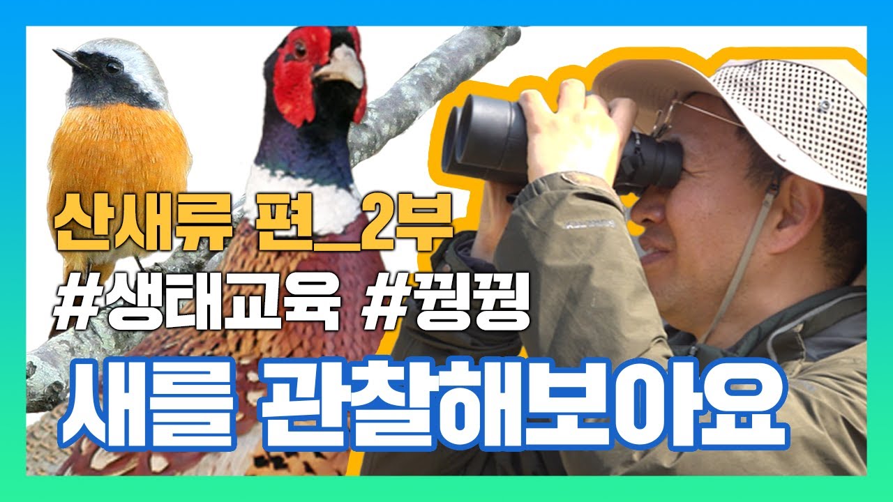 [국립생태원] 생태교육_새를 관찰해보아요 2부