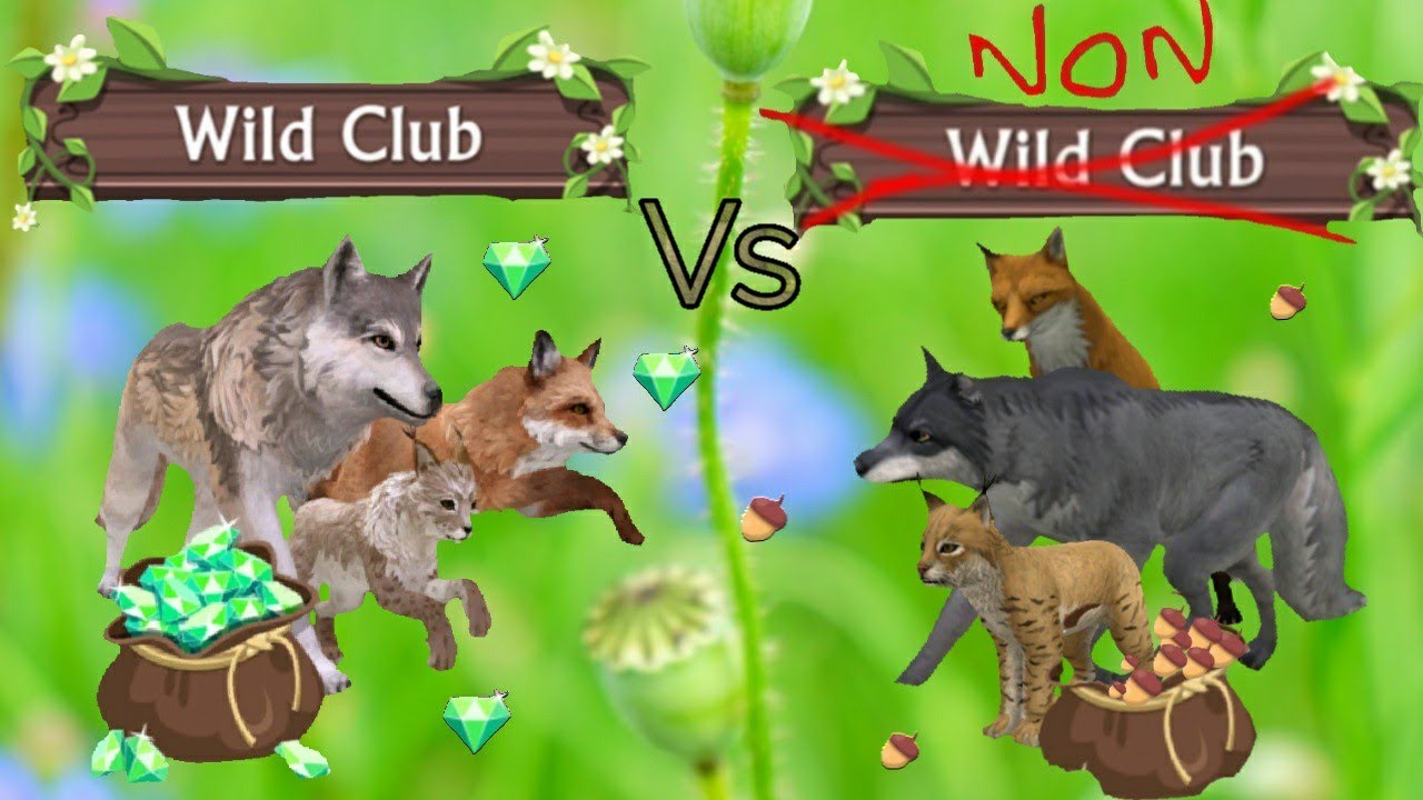 Wildcraft: Wildclub против не-Wildclub