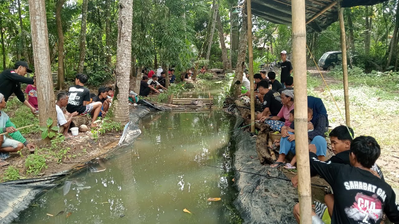 Mancing mania Gratis ‼️ Terimakasih Hamba Allah 🤲
