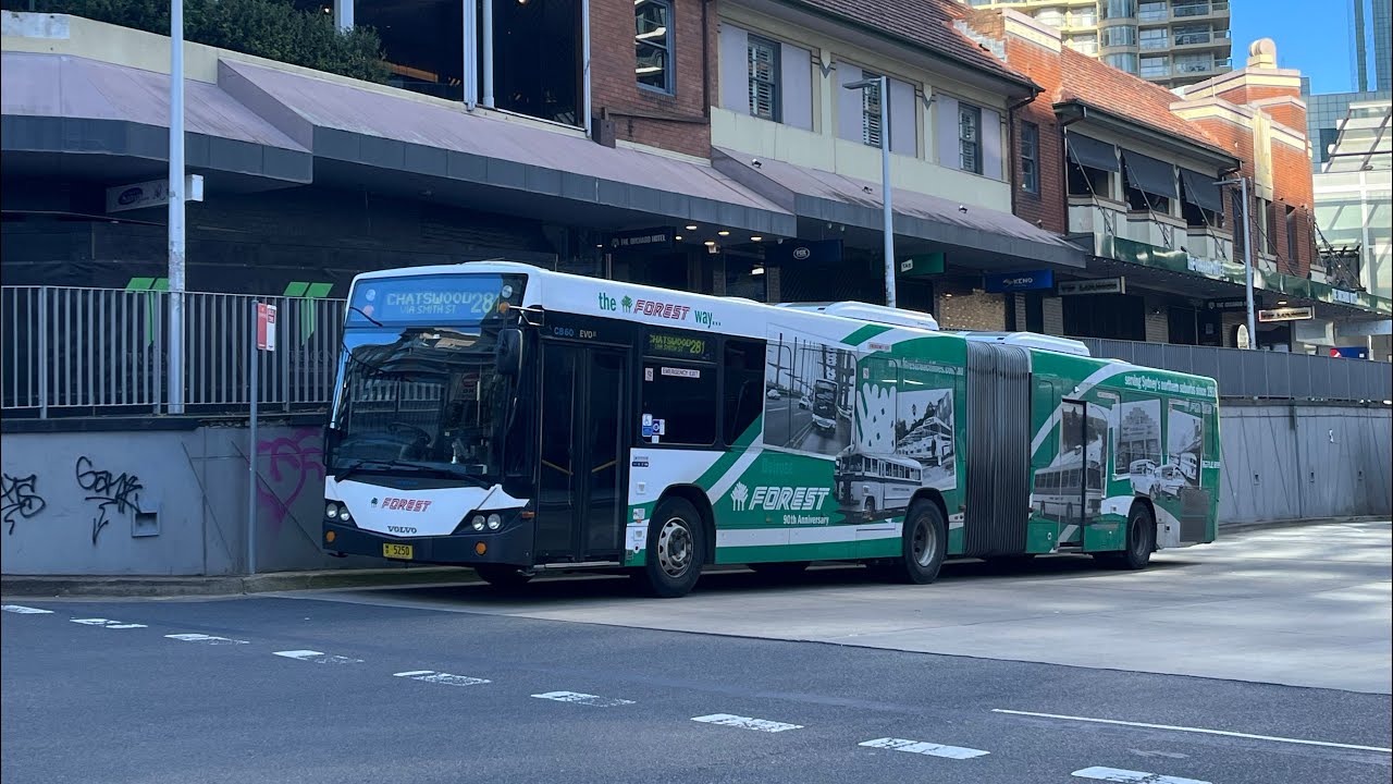 Chatswood Buses