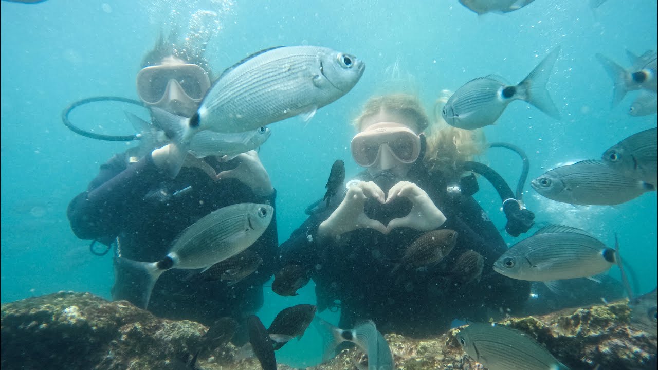 dalış yaptım🩵 suyun altında bir gün🐟 #scubadiving #tüplüdalış @anittapeposhi