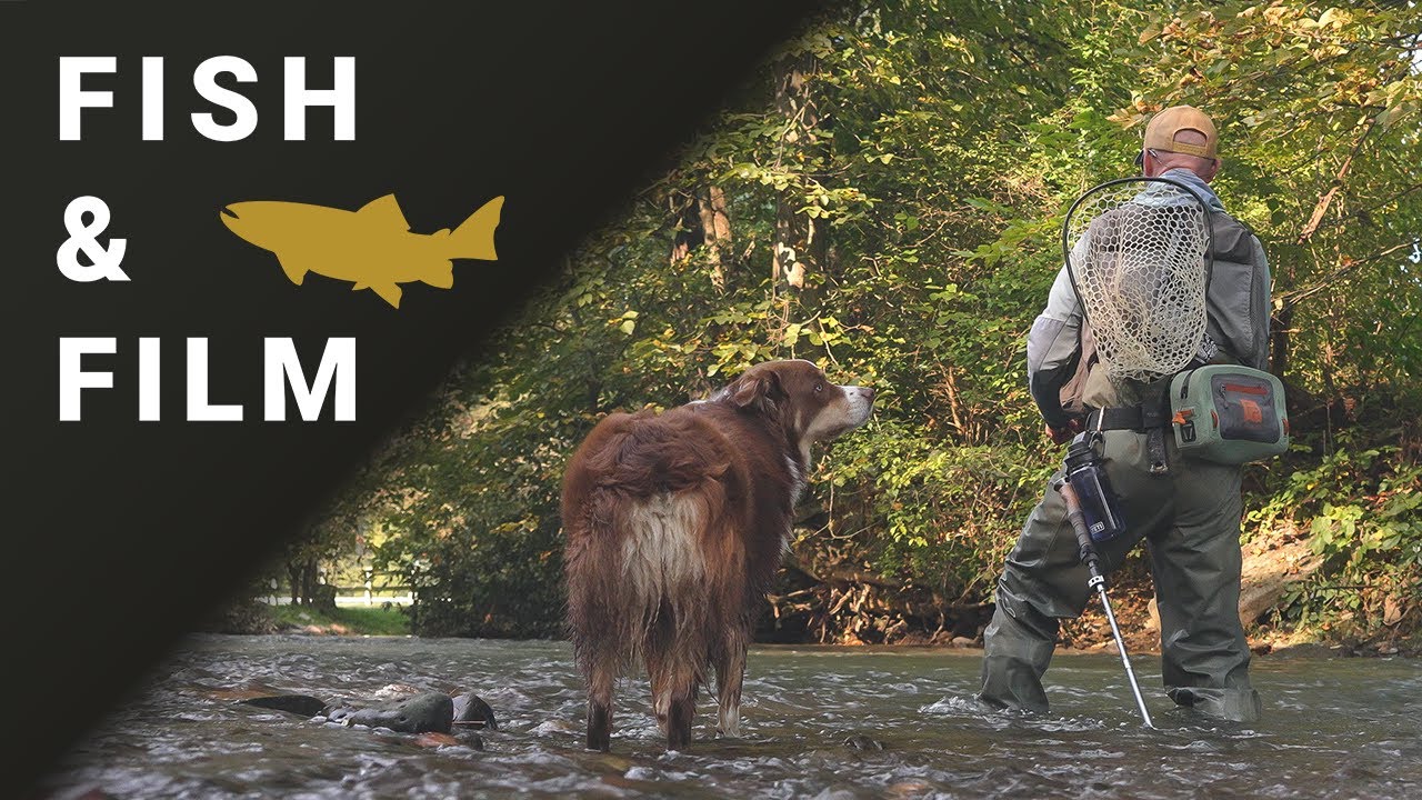 Fish and Film: Tight Line Nymphing and Tight Line to the Indicator - Using the Advantages of Both