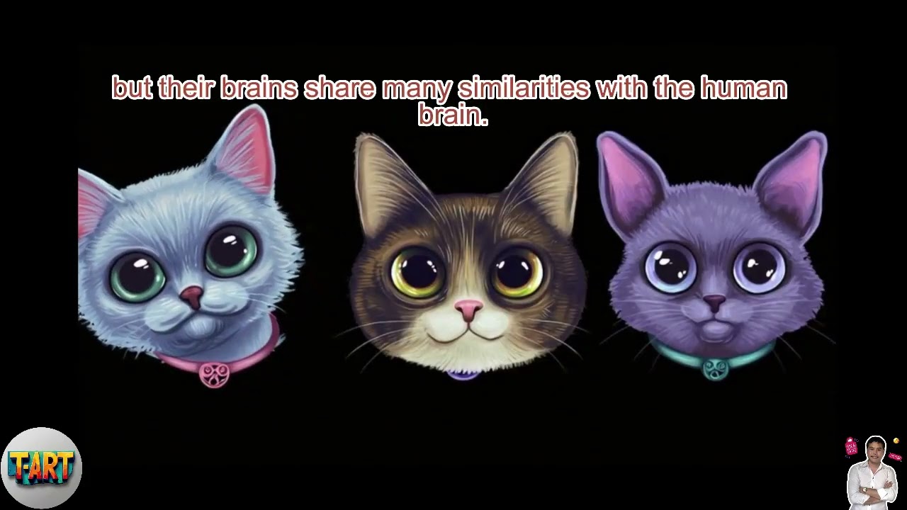 Top 10 Amazing Cat Facts You Probably Didn’t Know