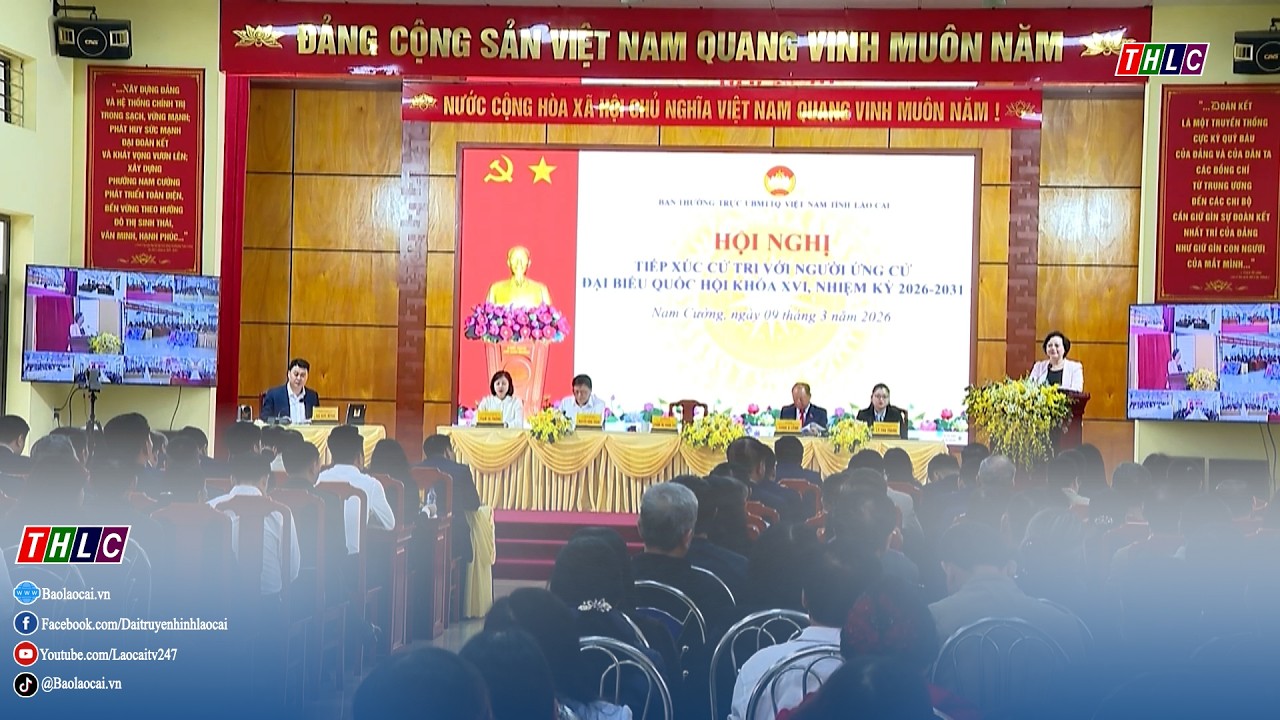 Thời sự Lào Cai 19h50 (9/3/2026) | THLC