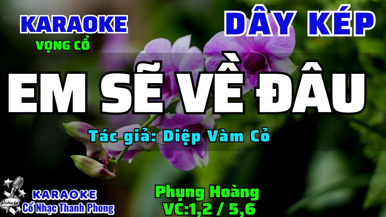 Karaoke Vọng Cổ EM SẼ VỀ ĐÂU I Dây Kép