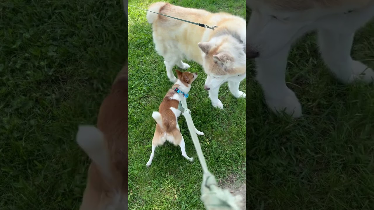 Rudy meets Hero