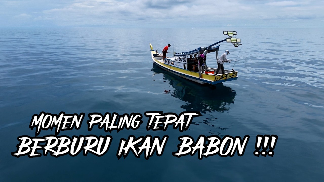 DIKIRA NYANGKUT TAUNYA STRIKE BABON❗❗❗ PEGAL NYA BIKIN NAGIH❗❗❗