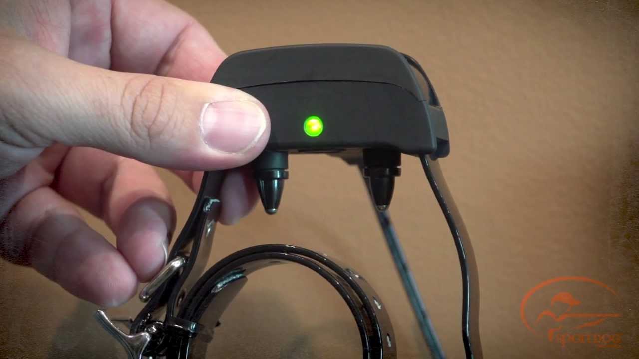 SportTrainer® SD-425E & SD-825E - Charging and Replacing Batteries