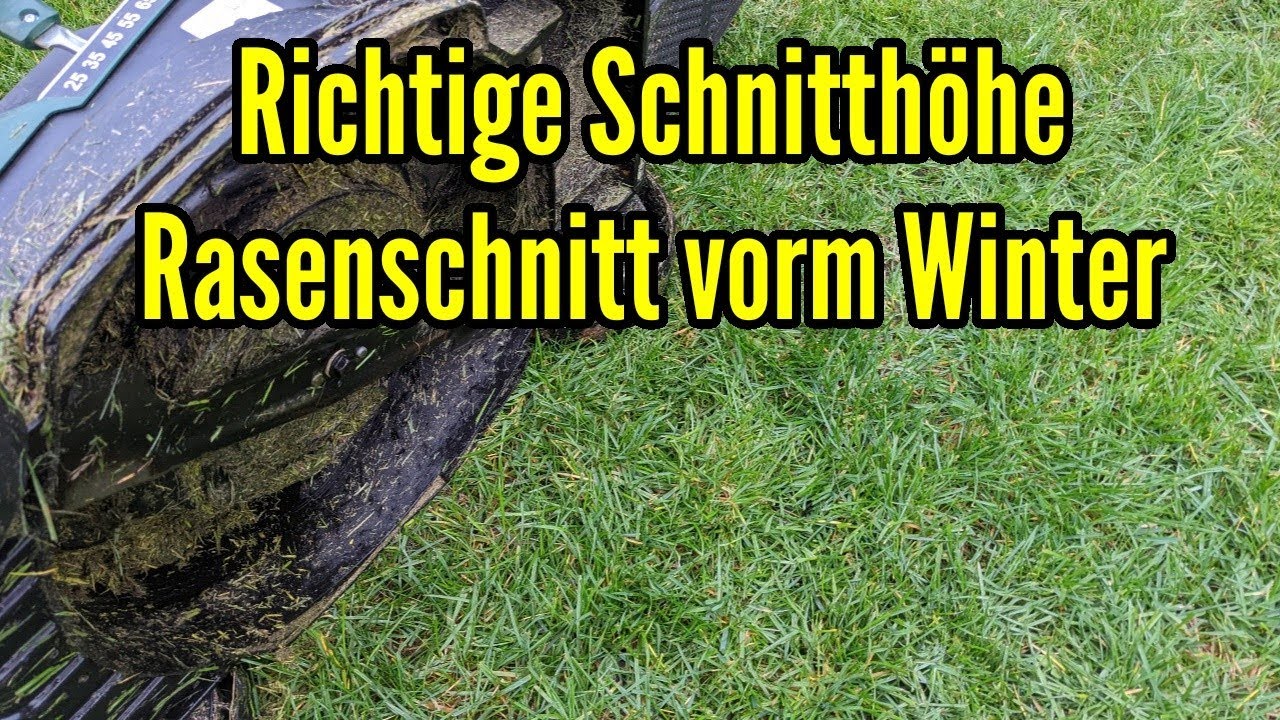 Schnitth&ouml;he vom Rasen beim letzten M&auml;hen vorm Winter - So lang sollte der Rasen sein