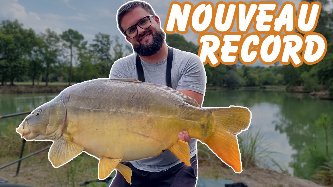 Cet ÉTANG REGORGE de GROSSE CARPE -NOUVEAU RECORD!!! (pêche avec mes nouvelles cannes sportex)