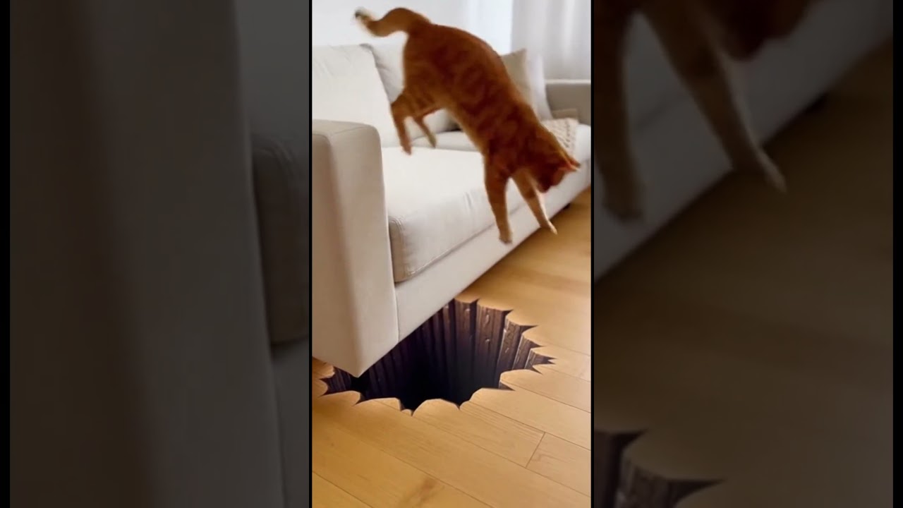 Real Life Cartoon Physics