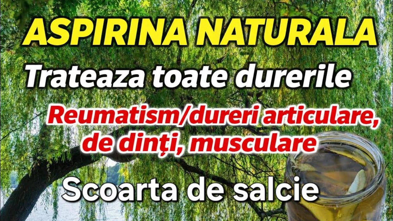 Aspirina Naturala- Salcia / Ameliorează durerile / Reumatism/ Dureri de dinți/ Articulare/ Artrita