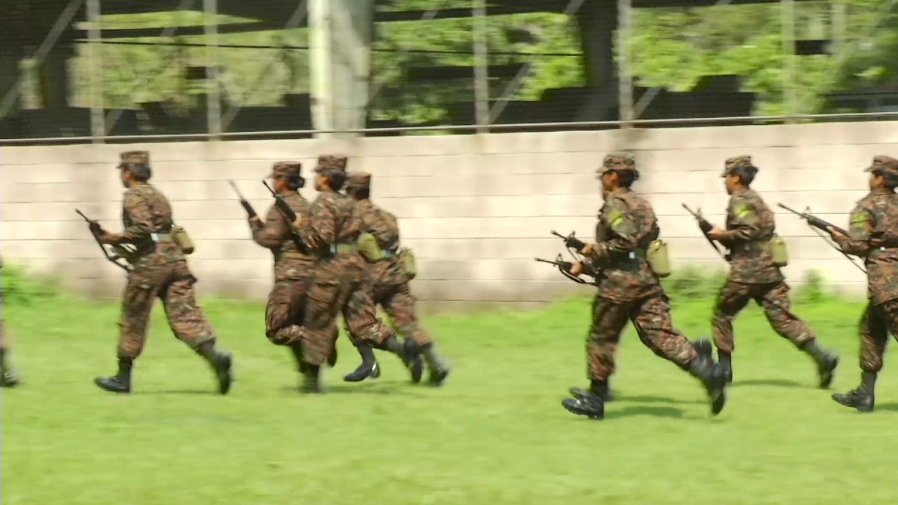 MUJERES EN LA FUERZA ARMADA
