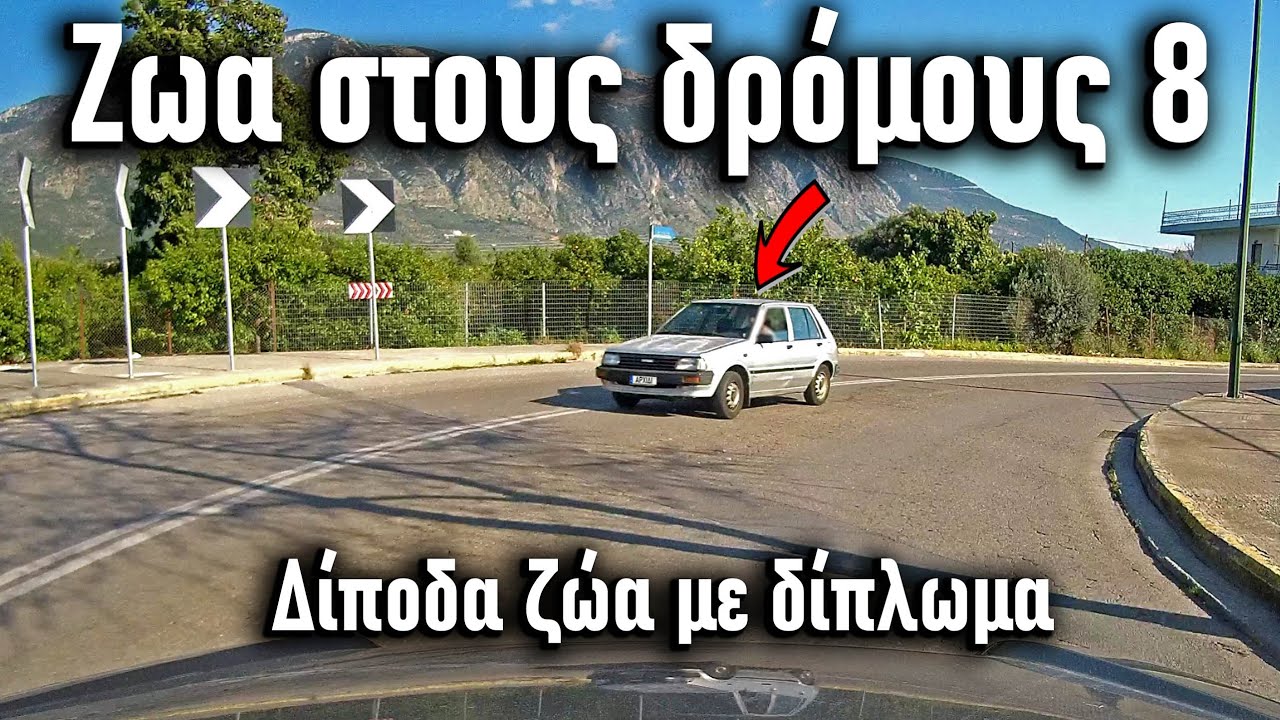 Ζωα στους δρόμους Νο8 - Οδική ασφάλεια 5.0