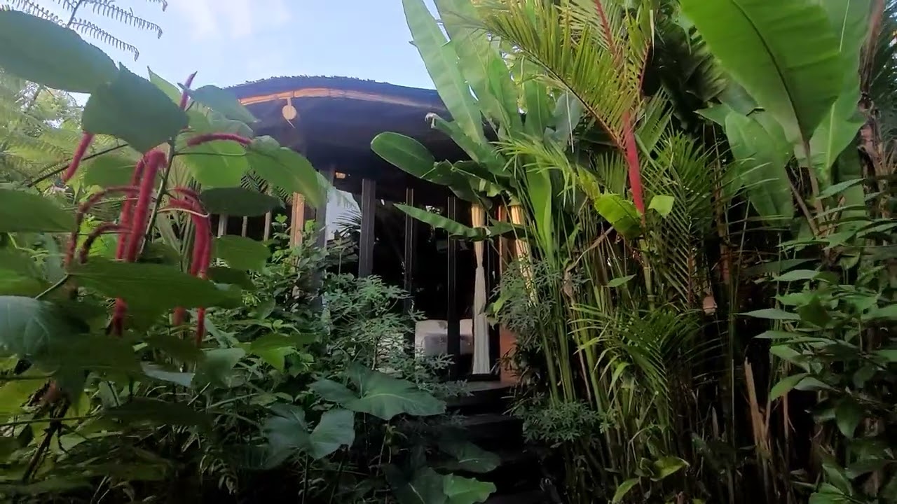 Eco friendly Villa in Ubud Bali