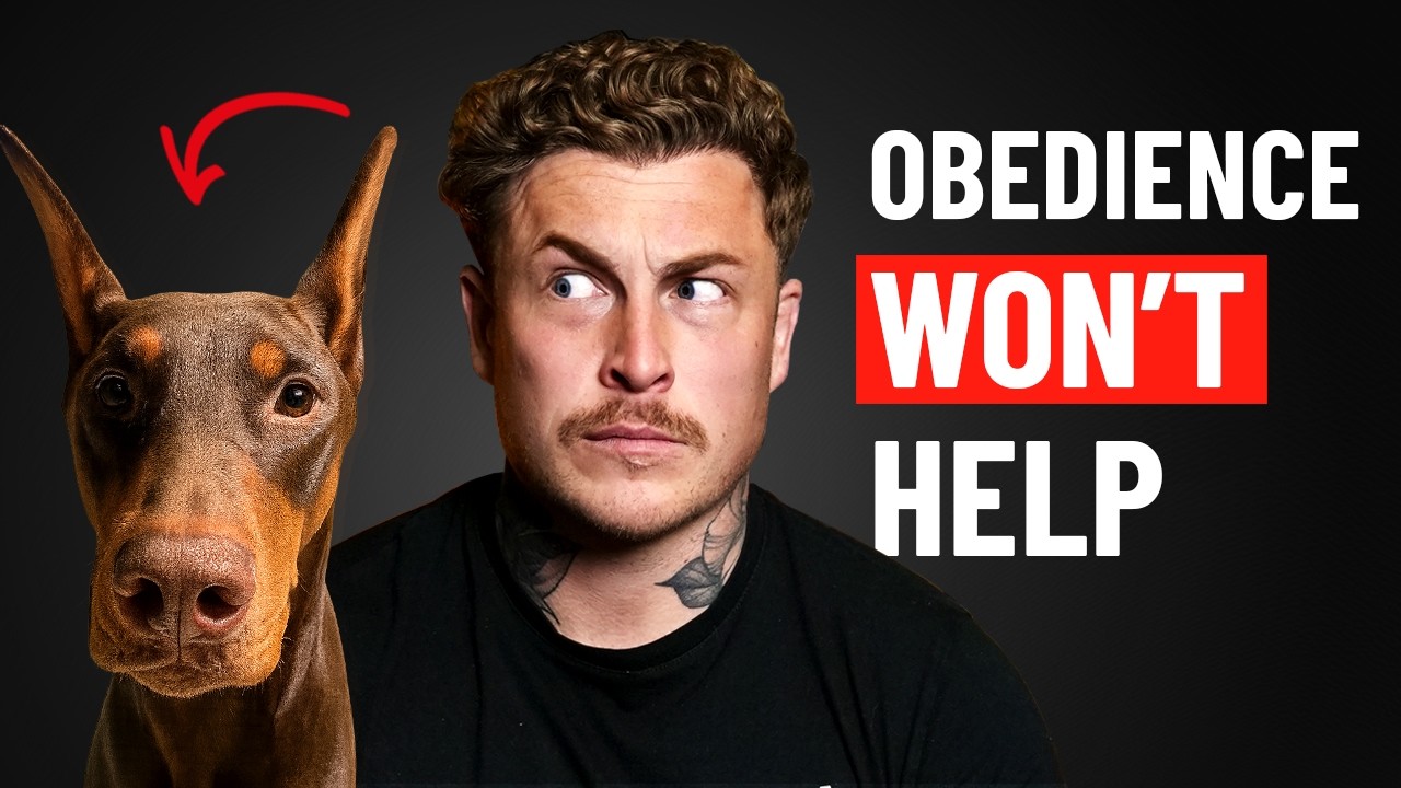 If Your Dog Is Reactive, Watch This (Step by Step Case Study)