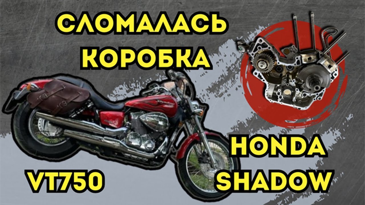 ВСКРЫВАЕМ ДВИГАЕЛЬ Honda Shadow vt750  engine repair
