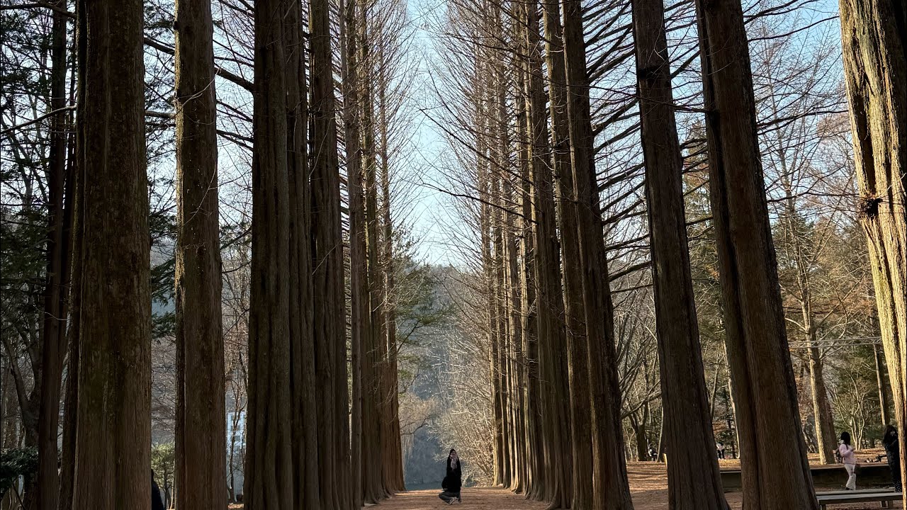 Nami Island