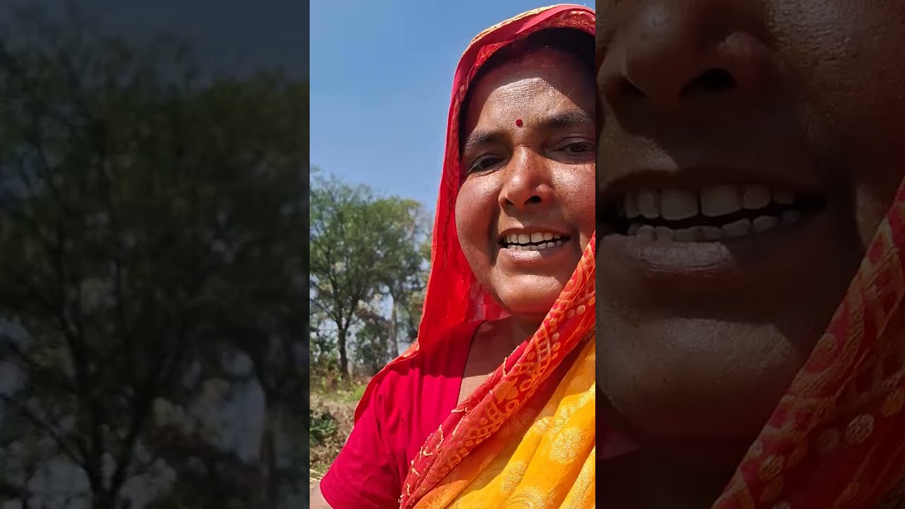 টমাটো লাগানো হবে চারা তুলতে আসা হয়েছে 