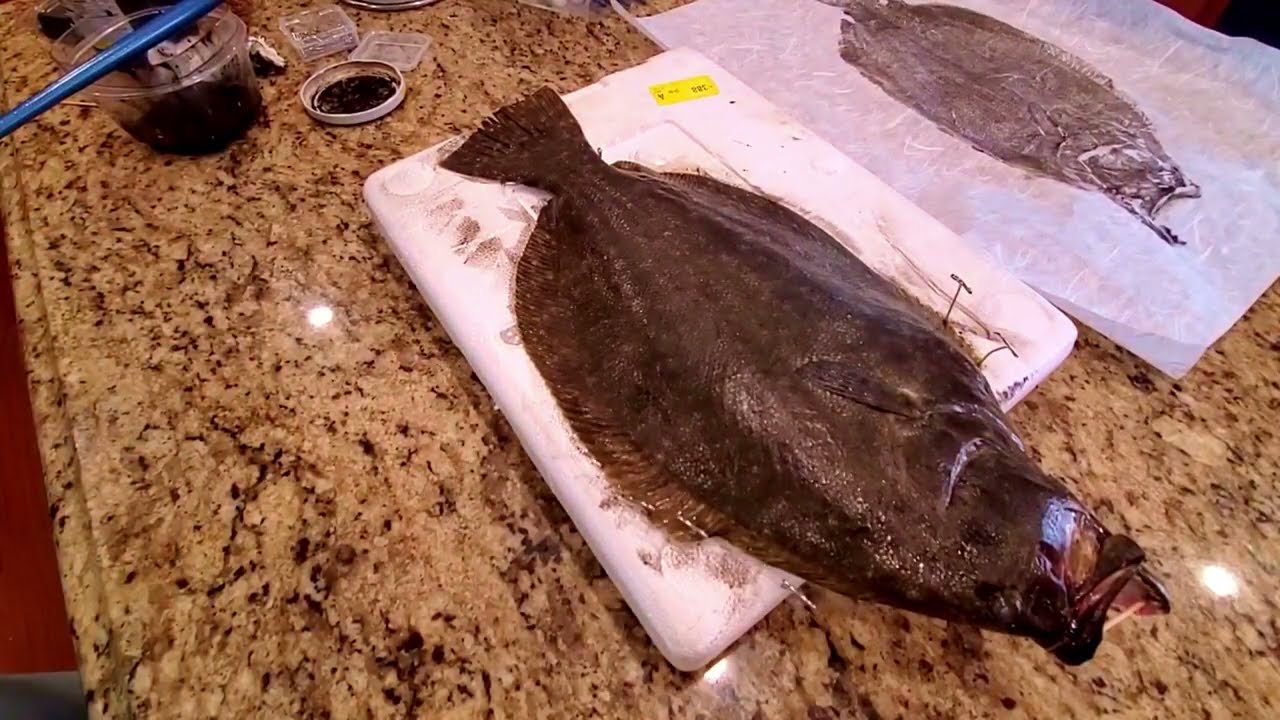 Japanese Gyotaku of Flounder
