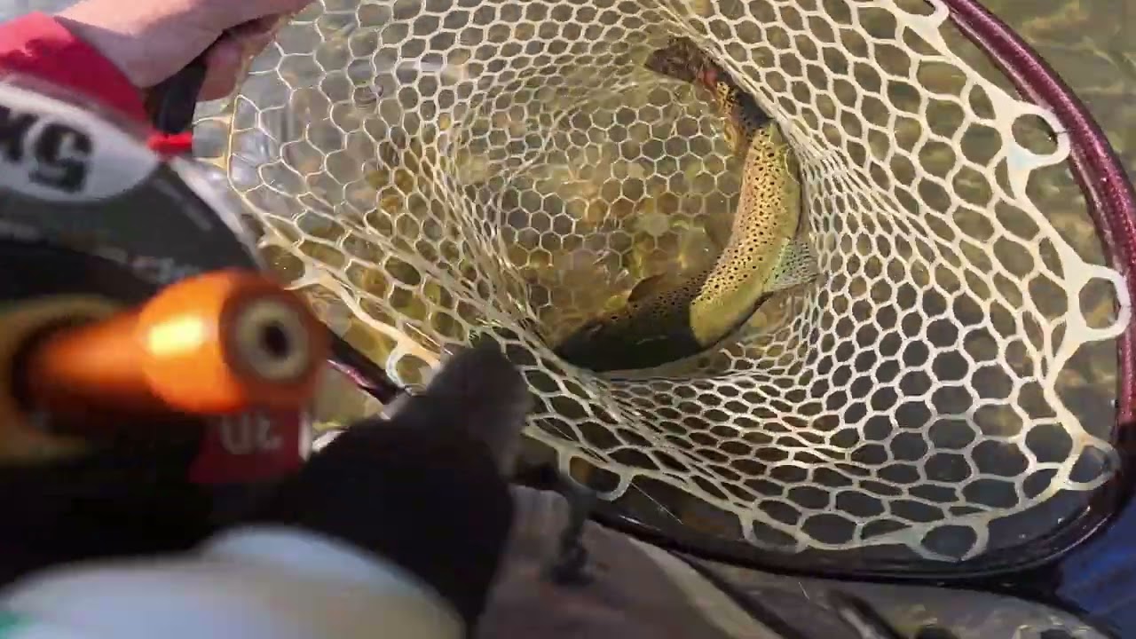 Catskills Memorial Day Weekend Fly Fishing Adventure!